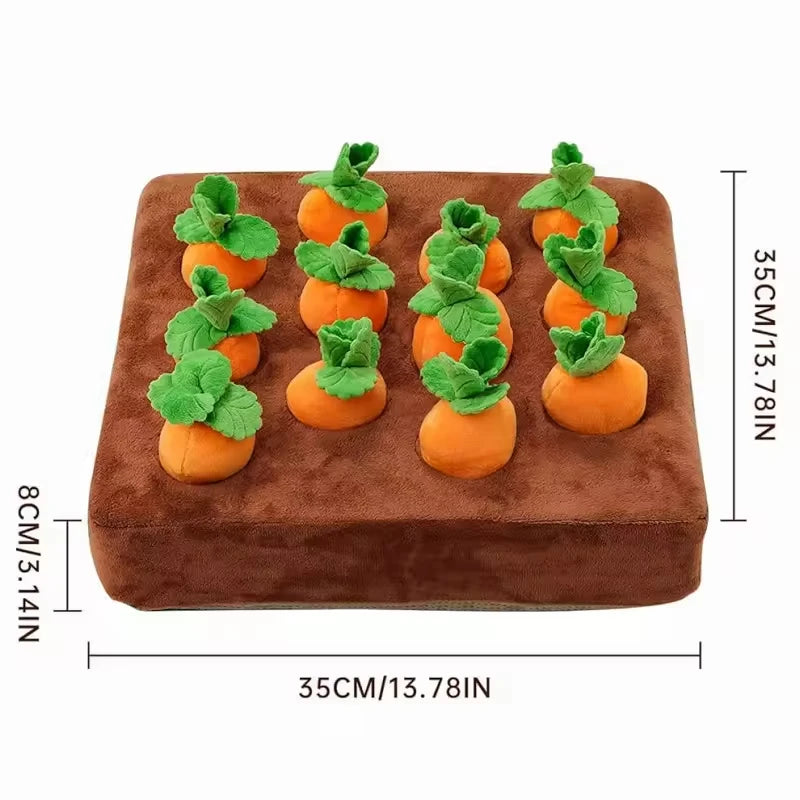 Maße des Karottenfeld-Schnüffelspielzeugs 35 × 35 cm