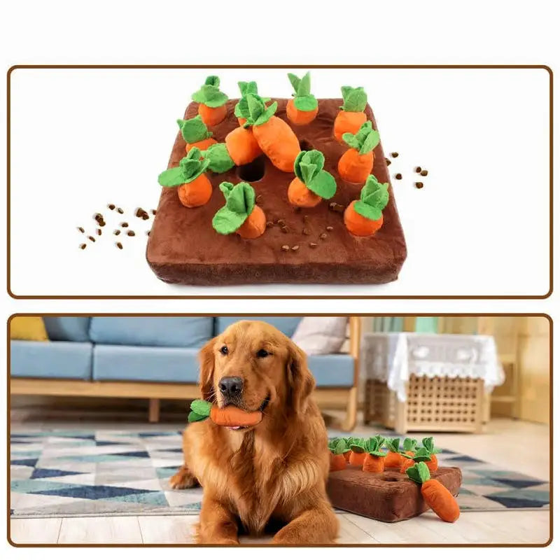 Hund spielt mit dem Karottenfeld-Schnüffelspielzeug